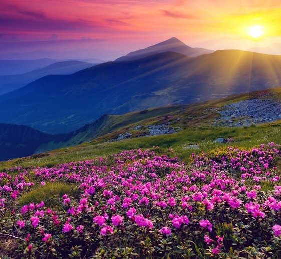 怎样退出粉象生活