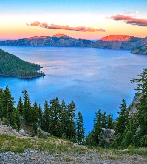 粉象生活是什么?