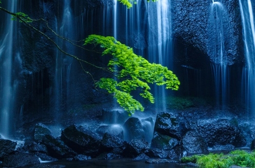 枣庄粉象生活团队