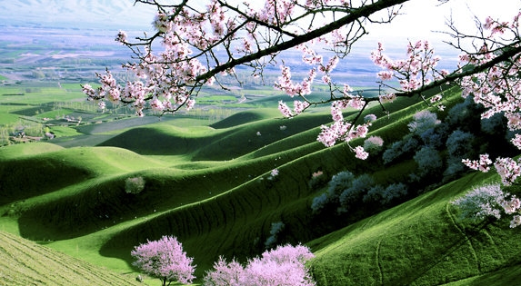 粉象生活如何获得数字