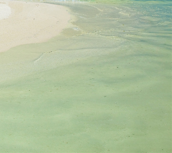 粉象生活如何更换登录