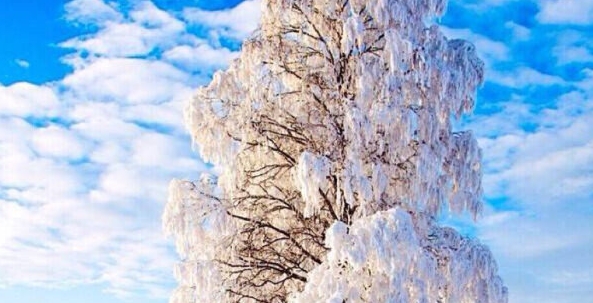 粉象生活怎么赚钱