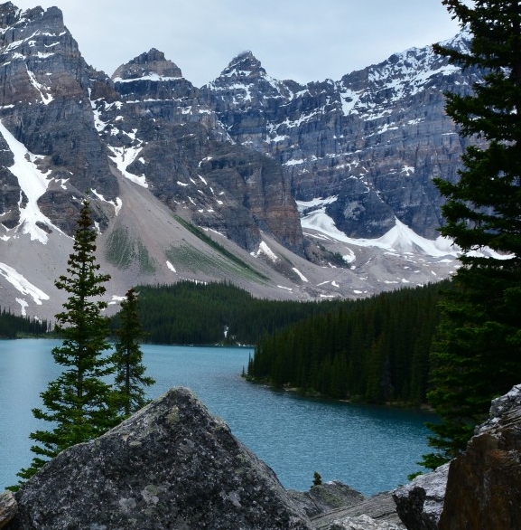 粉象生活和淘宝联盟哪个好
