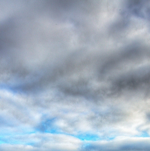 粉象生活手机版如何登录