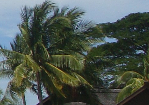 什么是粉象生活的用户