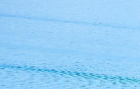 粉象生活能赚到钱吗