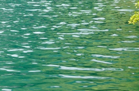 粉象生活流量卡