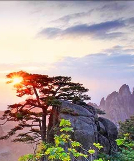 粉象拉一个会员挣多少钱