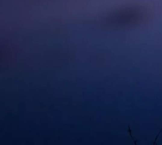 粉象生活粉丝怎么增加