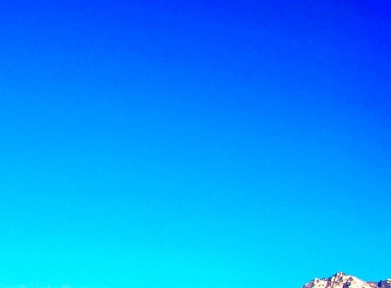 粉象生活邀请你