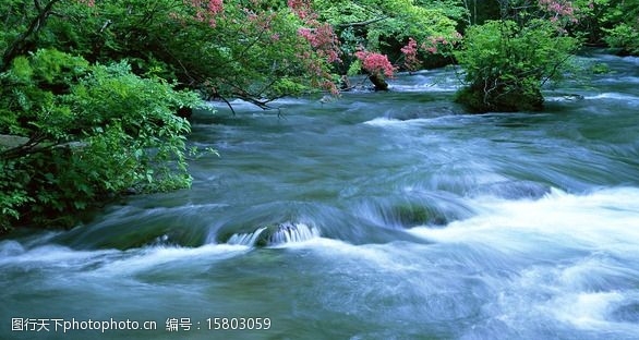 粉象生活发货了怎么查看