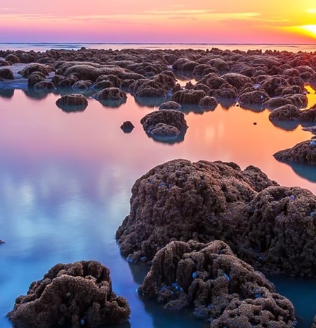 粉象生活粉丝怎么增加