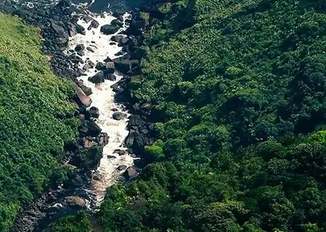 粉象生活下载app