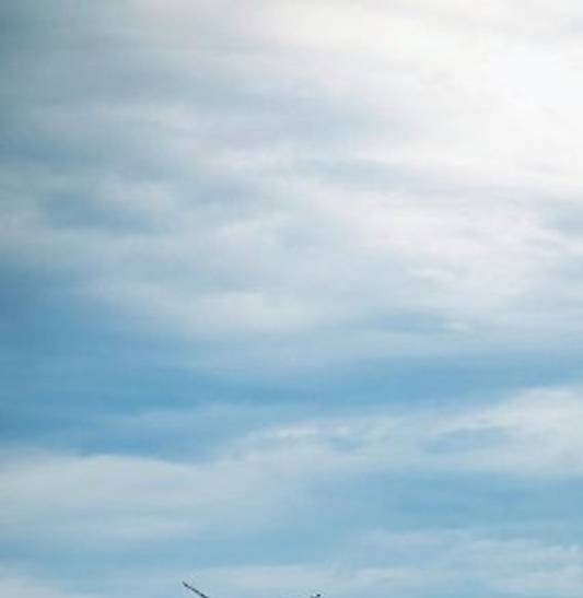 粉象生活邀请码谁有良Z487RS