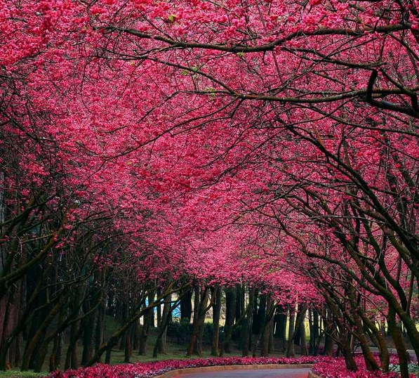 粉象生活如何注册邀请码