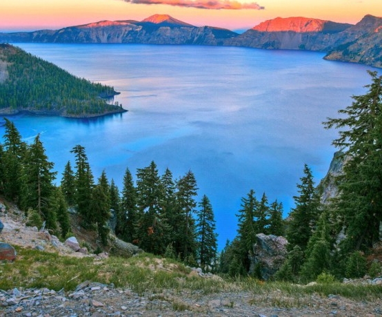 广元粉象生活代理