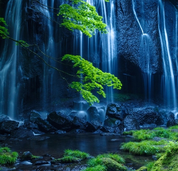 粉象生活怎么赚钱