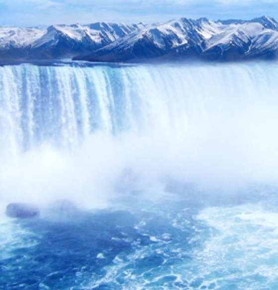 粉象生活新用户奖励是什么