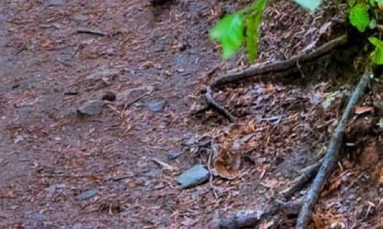 粉象生活的产品分享怎么做