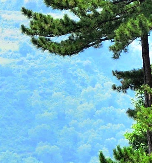 微信游戏小程序怎么推广引流