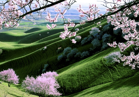 粉象一般人能喝几瓶