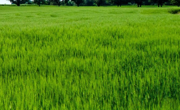 粉象生活类似程序
