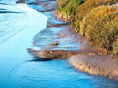 粉象生活无邀请码注册