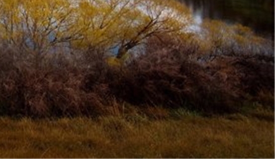 江西粉象生活注册