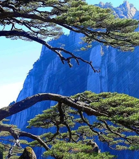 粉象生活躺赚教程粉象生活