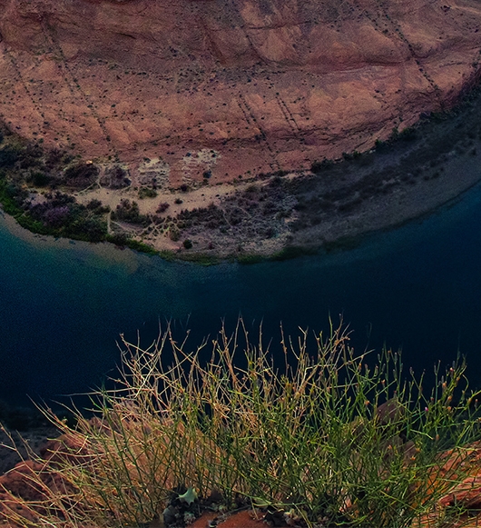 粉象生活是什么?