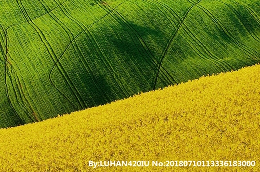 粉象生活新人分现金页面