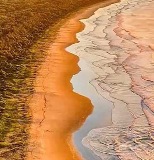 粉象生活商家怎么注册粉象生活