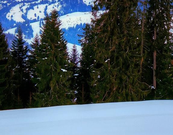 山东口碑好的粉象生活官网