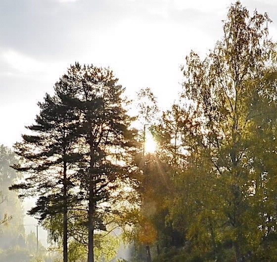 温州粉象生活注册邀请码