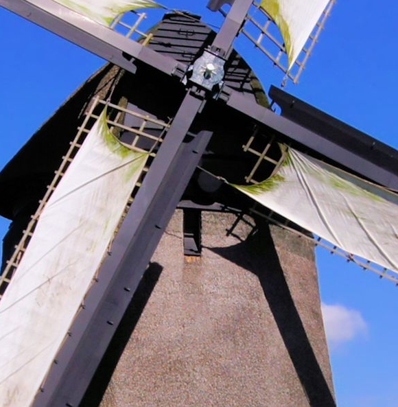 粉象生活下载app