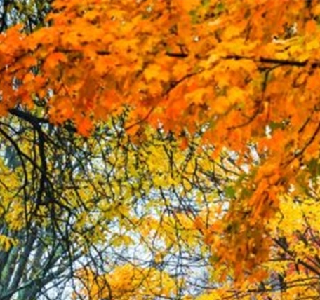 双十一具体怎么使用