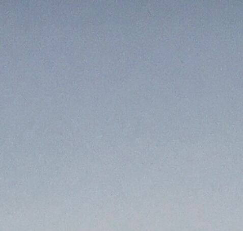 海口粉象生活代理
