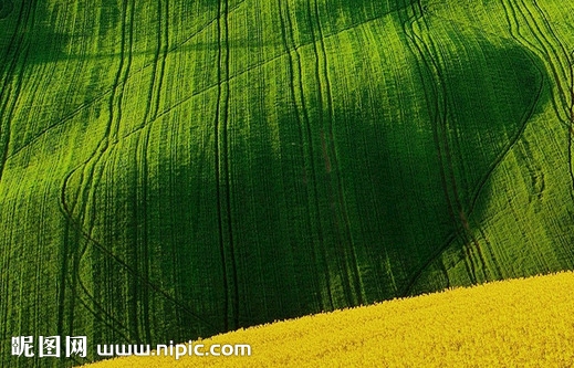粉象生活分享赚是怎么赚钱的