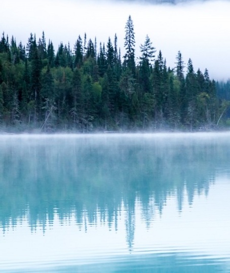 粉象生活如何邀请新用户