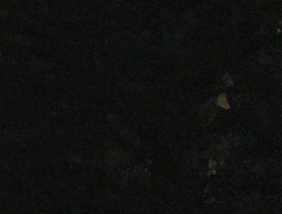 粉象生活可以赚钱吗