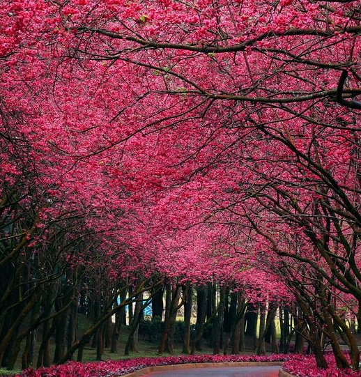 粉象生活注册了没有