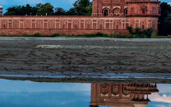 粉象生活代理费