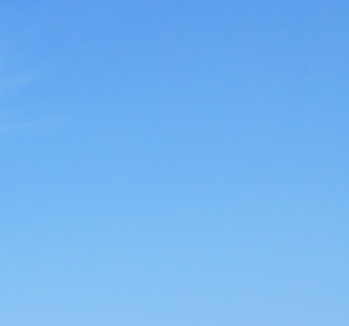 粉象生活app下载安装