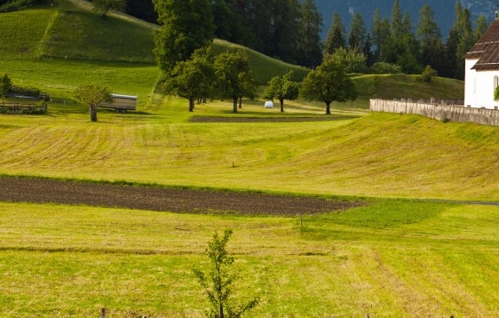 粉象生活邀请新人多少钱