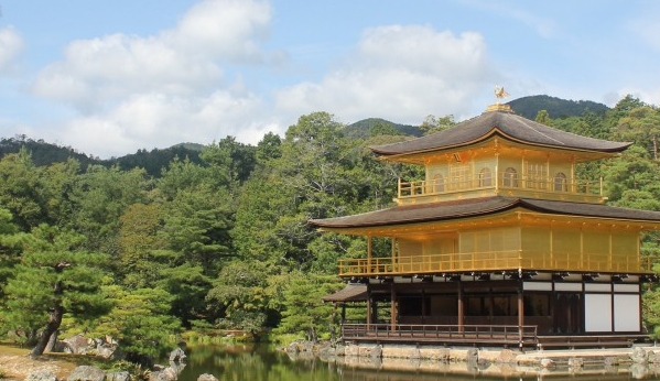 粉象生活全国