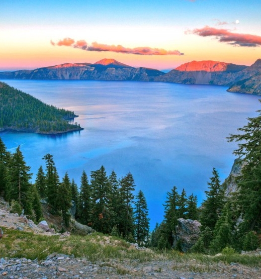 粉象生活能赚到钱吗