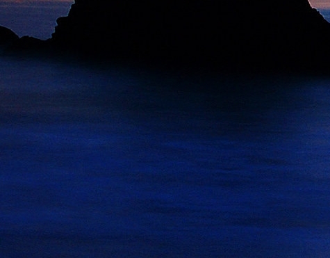 粉象生活注册是什么样的