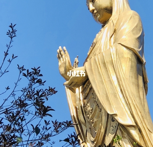 粉象生活能赚到钱吗