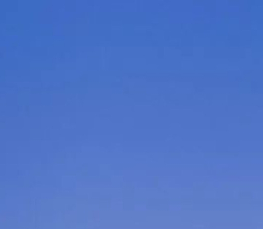 粉象生活下载app