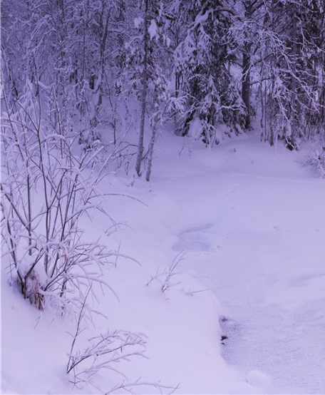 加入粉象生活攻略